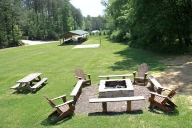 Deer Crossing Lodge Fire Pit near Helen, GA