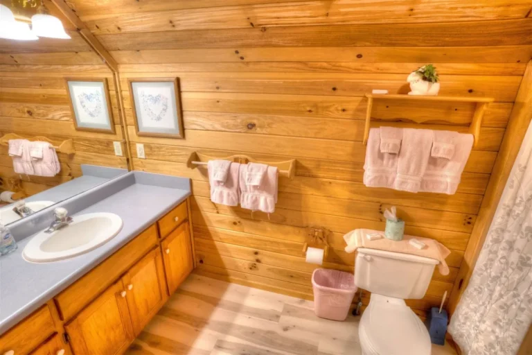 Forest Haven Cabin Bathroom #1 near Helen, GA