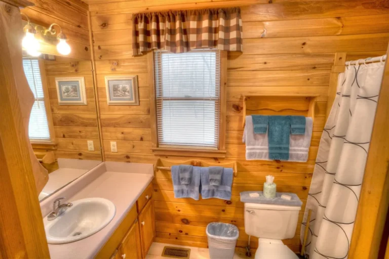 Forest Haven Cabin Bathroom #2 near Helen, GA