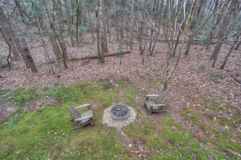 Forest Haven Cabin Fire Pit and Yard near Helen, GA
