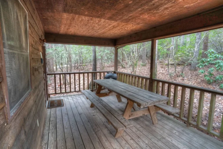 Forest Haven Cabin Covered Porch with Picnic Table near Helen, GA