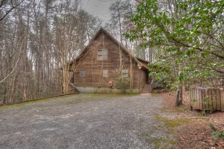 Forest Haven family cabin rental near Helen GA
