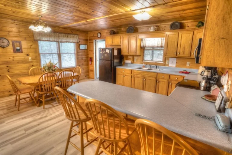 Forest Haven Cabin Kitchen near Helen, GA