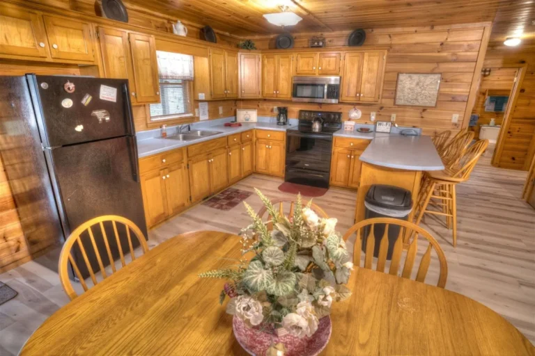 Forest Haven Cabin Kitchen with Centerpiece near Helen, GA