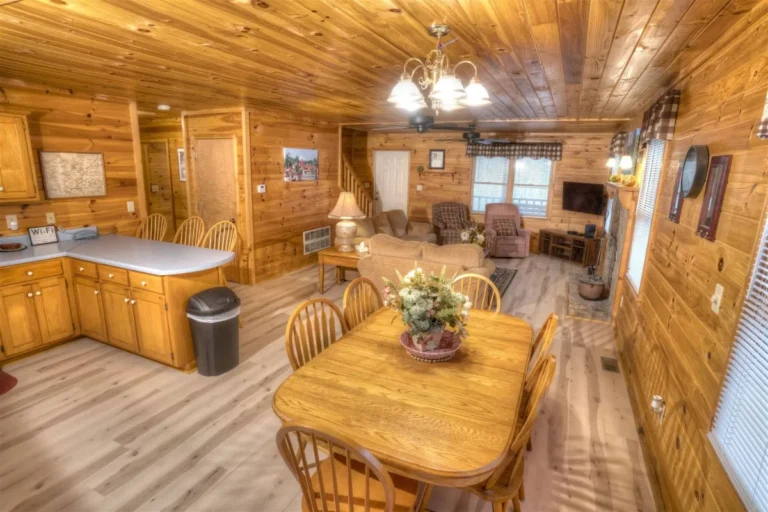 Forest Haven Cabin Living Area near Helen, GA