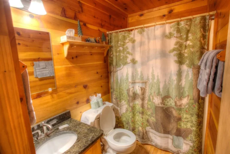 Fox Ridge Bathroom near Helen, GA