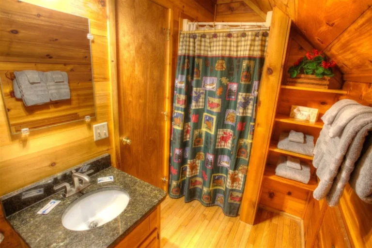 Fox Ridge Cabin Bathroom Shower near Helen, GA