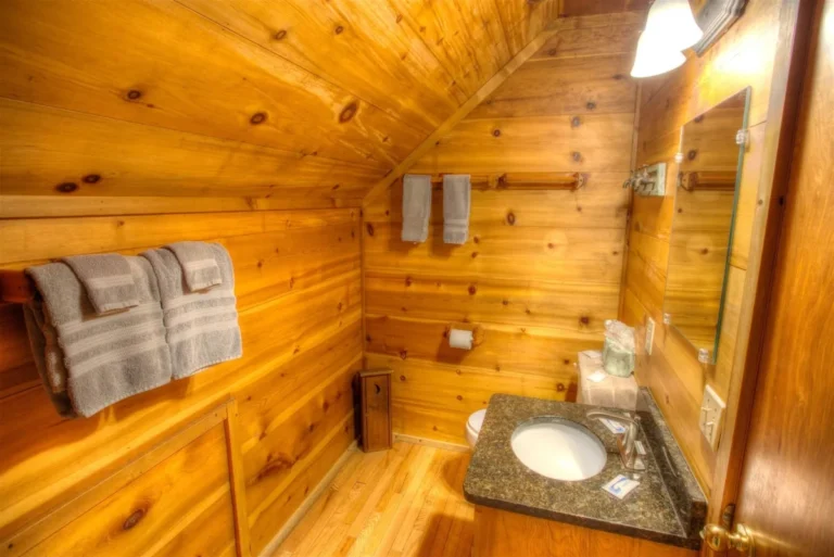 Fox Ridge Cabin Half Bathroom near Helen, GA