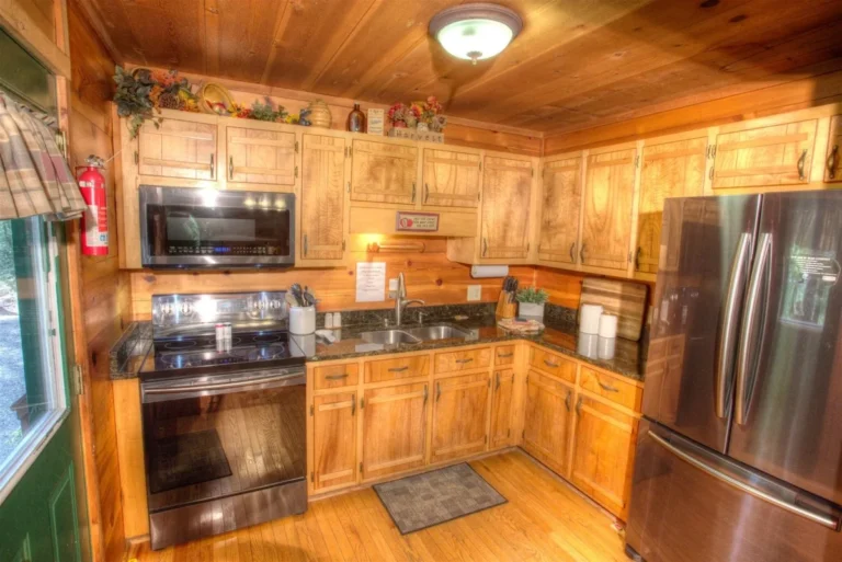 Fox Ridge Cabin Kitchen near Helen, GA
