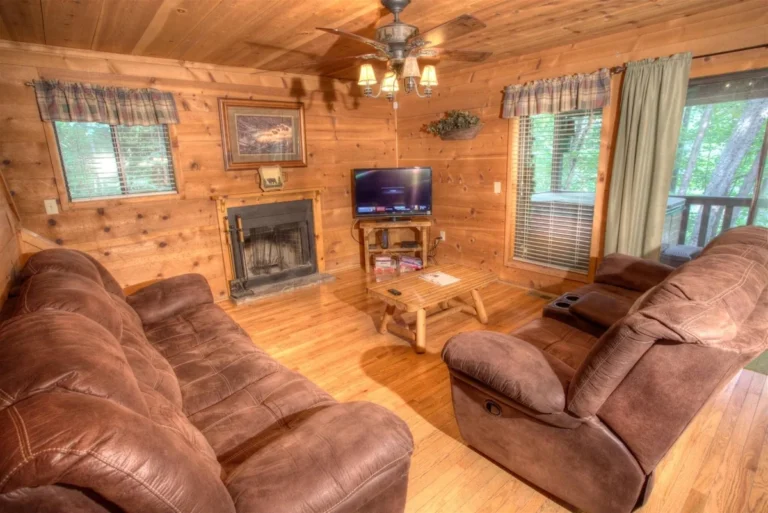 Fox Ridge Cabin Living Room near Helen, GA
