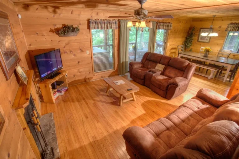 Fox Ridge Cabin Living Room near Hellen, GA