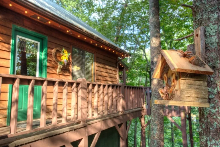Fox Ridge Cabin Porch with Birdhouse near Helen, GA