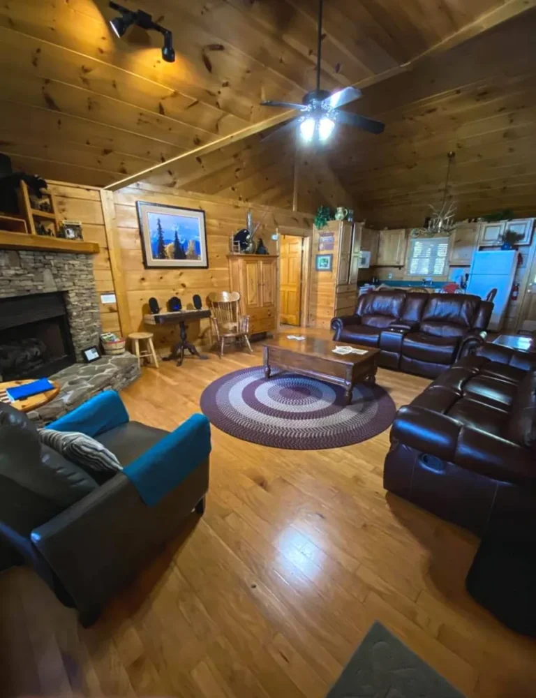 131 Hutch Mountain 12 Hutch Mountain Living Room in Sautee Nacoochee, GA
