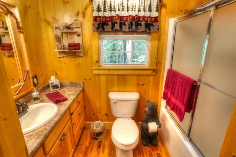 910 Meine Huette 1 Meine Huette Bathroom #1 in Sautee Nacoochee, GA