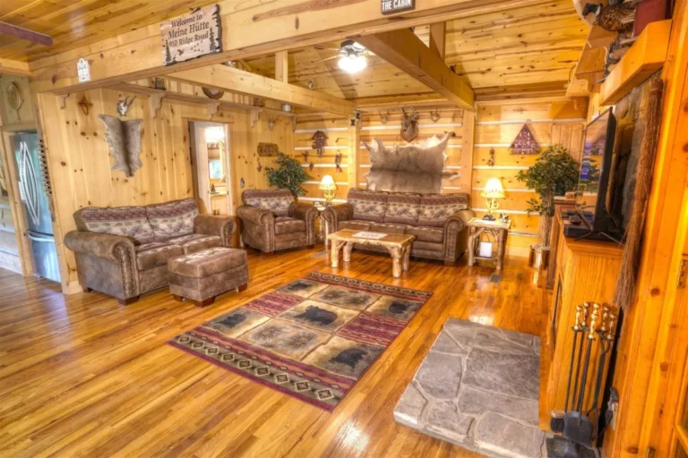910 Meine Huette 11 Meine Huette Cabin Full Living Room in Sautee Nacoochee, GA