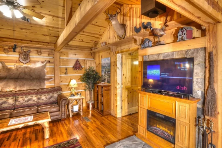 910 Meine Huette 7 Meine Huette Cabin Living Room in Sautee Nacoochee, GA
