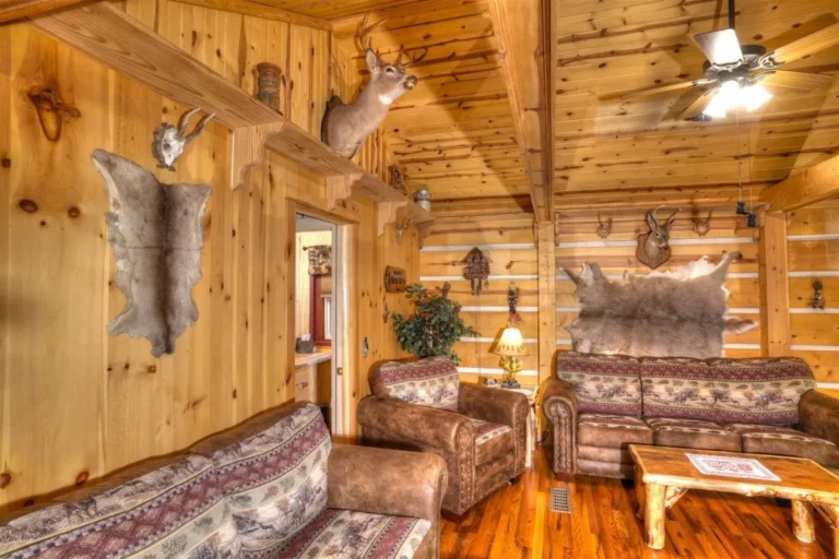 910 Meine Huette 14 Meine Huette Cabin Sofa in Sautee Nacoochee, GA