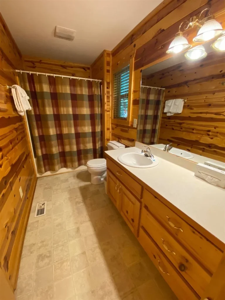 81 Miners Mountain 9 Miners Mountain Cabin Bathroom #2 in Sautee Nacoochee, GA