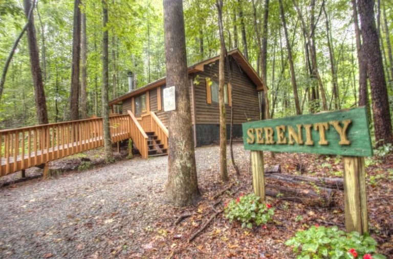 97 Serenity 23 Serenity Cabin Exterior View in Sautee Nacoochee, GA