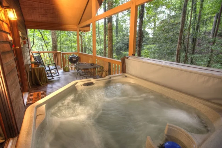97 Serenity 5 Serenity Cabin Hot Tub and Grill in Sautee Nacoochee, GA