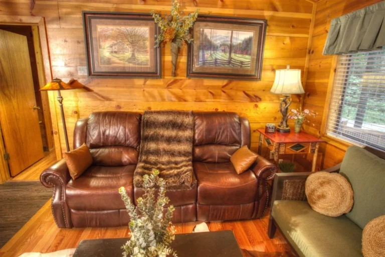 97 Serenity 22 Serenity Cabin Living Room Couch in Sautee Nacoochee, GA