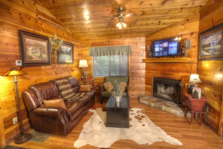 97 Serenity 18 Serenity Cabin Living Room in Sautee Nacoochee, GA