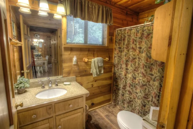 165 Southern Seclusion 11 Southern Seclusion Bathroom #2 in Sautee Nacoochee, GA