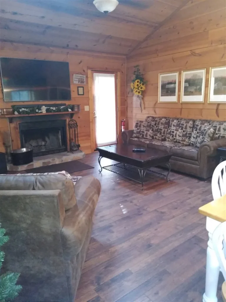 165 Southern Seclusion 1 Southern Seclusion Cabin Den with Fireplace in Sautee Nacoochee, GA