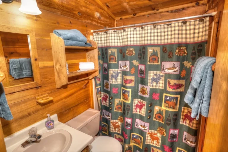 Three Bears Cabin Bathroom in Sautee Nacoochee, GA