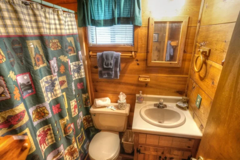 Three Bears Cabin Bathroom Shower in Sautee Nacoochee, GA