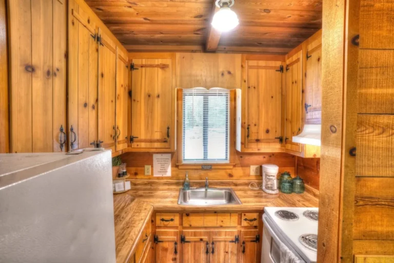 Three Bears Cabin Kitchen Counter in Sautee Nacoochee, GA