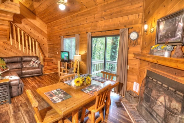 Three Bears Ground Floor in Sautee Nacoochee, GA