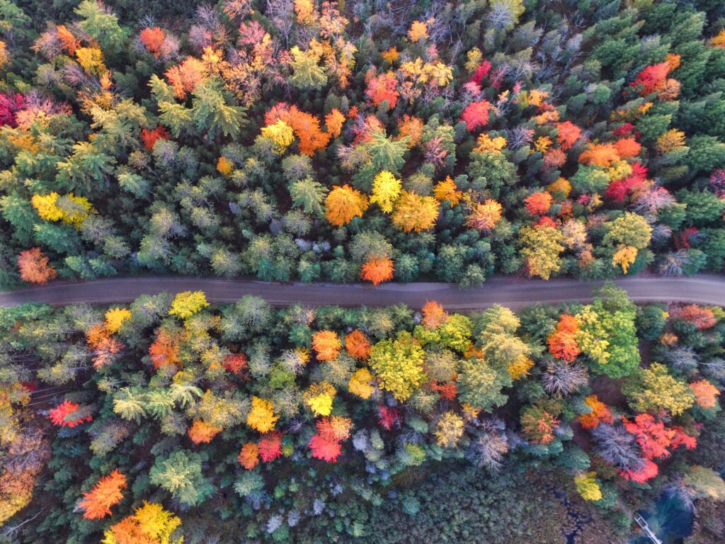 Fall Cabin Rentals Near Helen, GA — North Georgia Foliage & Family Trips 4 Fall cabin rentals near Helen GA — North Georgia foliage Sautee Nacoochee